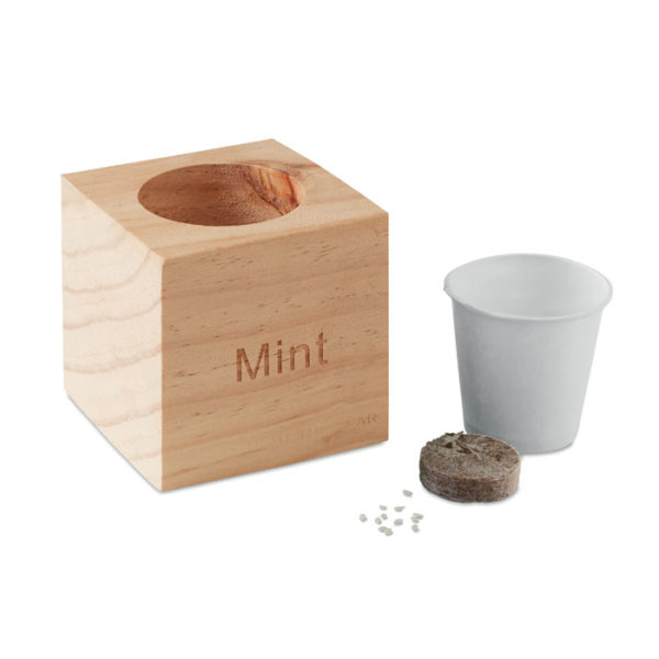 mini vaso in legno con semi di menta da scrivania